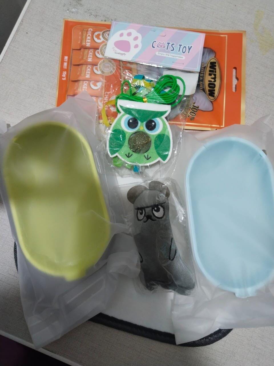 Cat Grass Growing Kit (With Free Seeds)