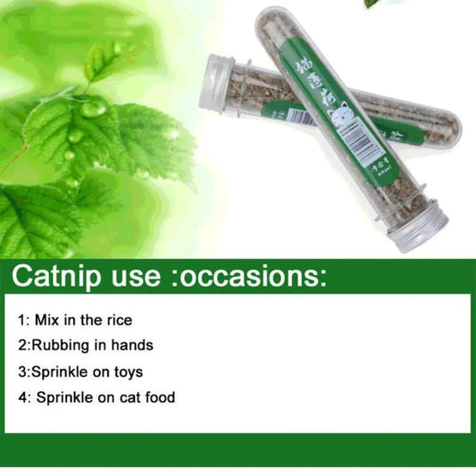 Catnip Leaves Cats Natural