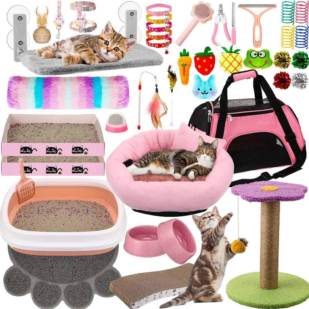CAT ACCESSORIES