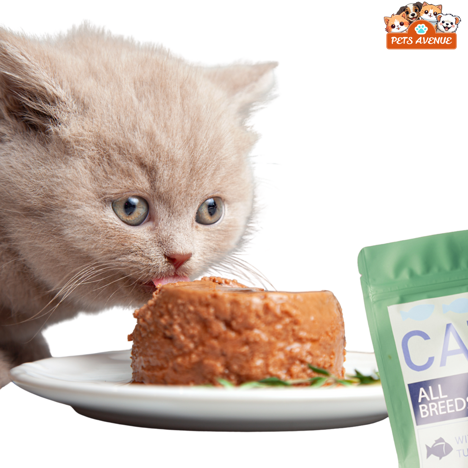 CATS FOOD