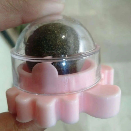 Catnip Lollipop Cats