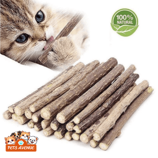 Catnip Stick (Best for Cat Dental Health) (Pack of 4) 🐱