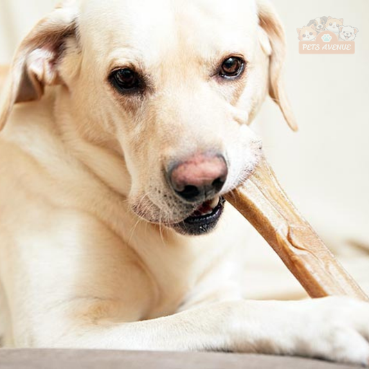 Premium Calcium Chew Bones for Dogs – Healthy Teether for Strong Teeth 🦴