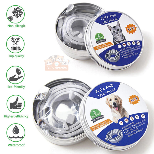 Anti Flea & Tick Collar for Cats & Dogs – Long-Lasting Outdoor Protection 🐕🐾