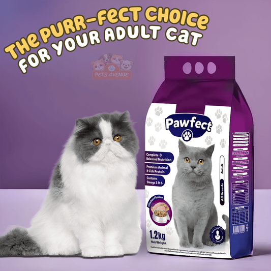 Pawfect Adult Cat Food 1Kg 🐱🥣