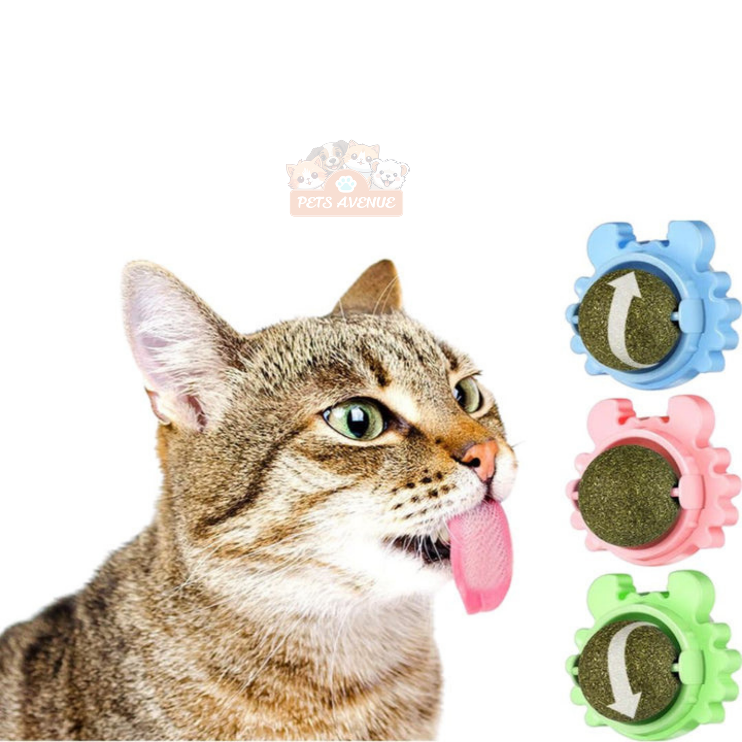 Discount Catnip Lollipop Bundle for Cats – Fun Chew Treat 🍭🐱