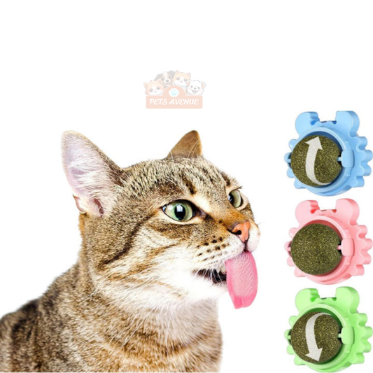 Discount Catnip Lollipop Bundle for Cats – Fun Chew Treat 🍭🐱