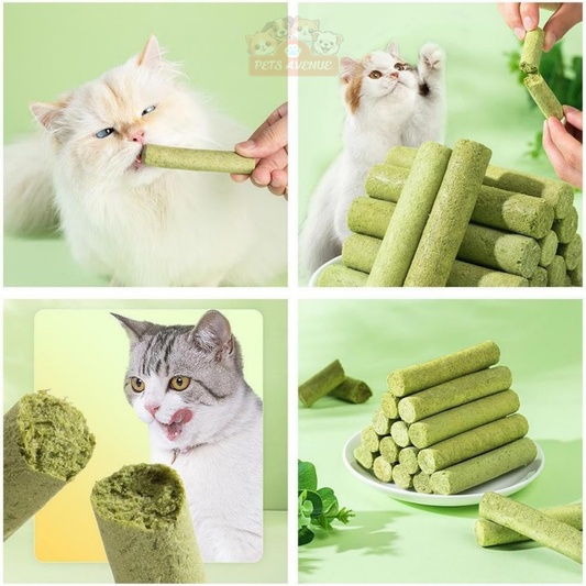 Cat Grass Teething Sticks for Teeth and Hairballs (5 Sticks Pack) 🌿