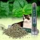 Catnip Leaves for Cats – Natural Herbal Treat 🌿🐱