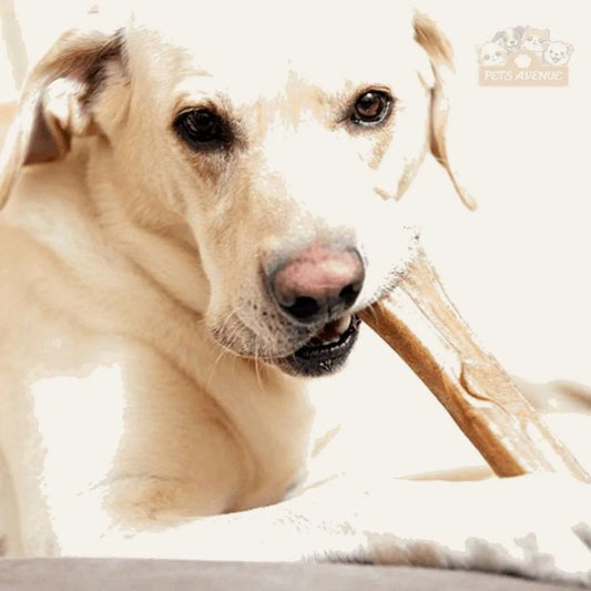 Premium Calcium Chew Bones Dogs