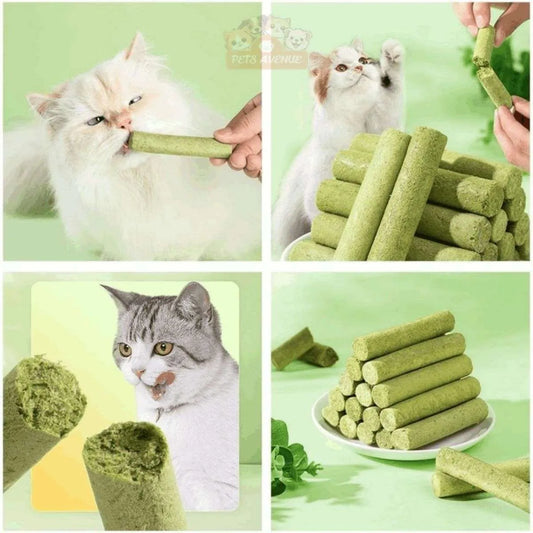 Cat Grass Teething Sticks Teeth