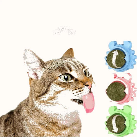 Discount Catnip Lollipop Bundle Cats