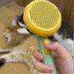 PumpKin Pie Self-Cleaning Brush 🐾