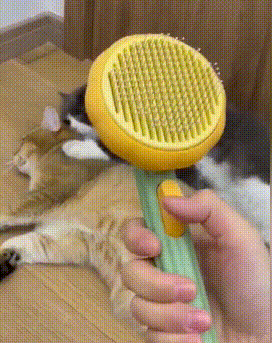 PumpKin Pie Self-Cleaning Brush 🐾