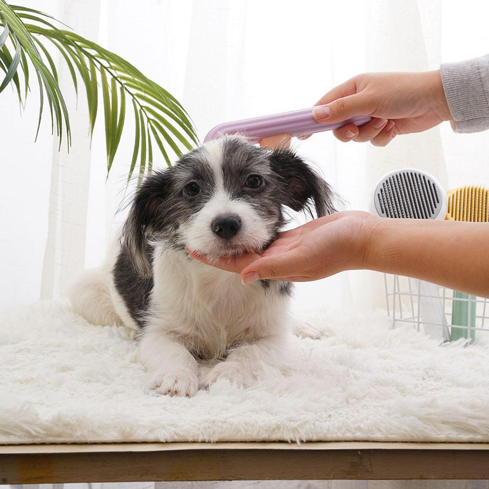 PumpKin Pie Self-Cleaning Brush 🐾