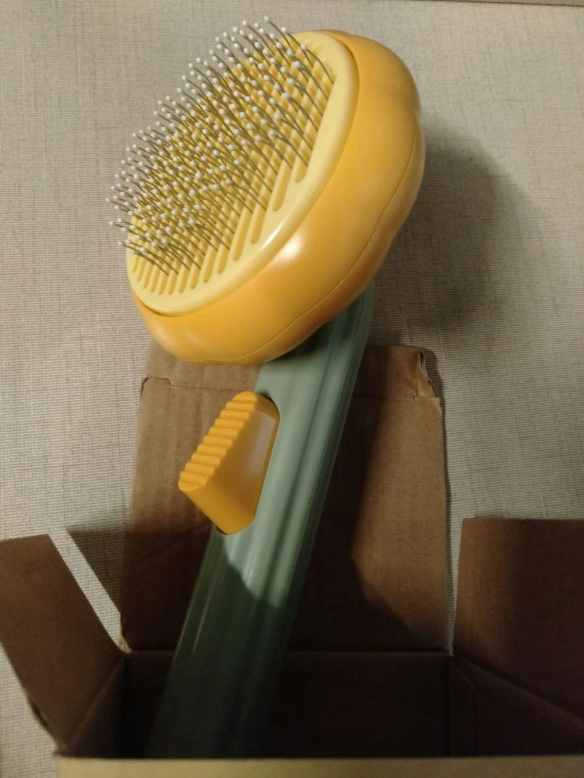 PumpKin Pie Self-Cleaning Brush 🐾