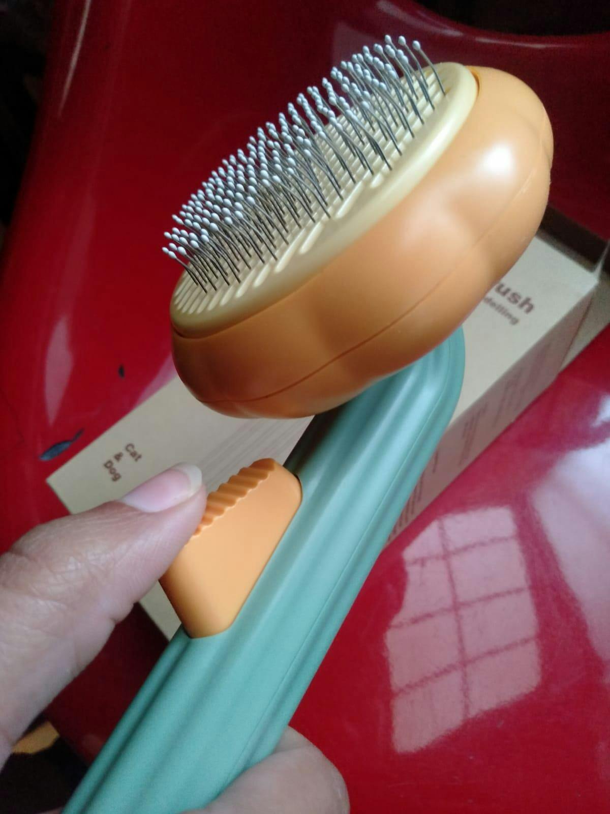 PumpKin Pie Self-Cleaning Brush 🐾