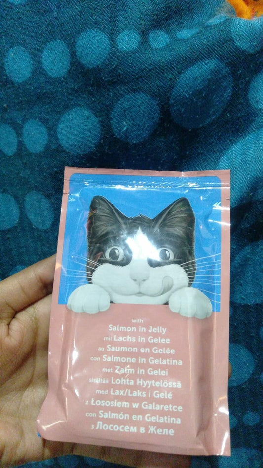 Felix Adult Cat Jelly Pouch – 100g 🐱🍽️