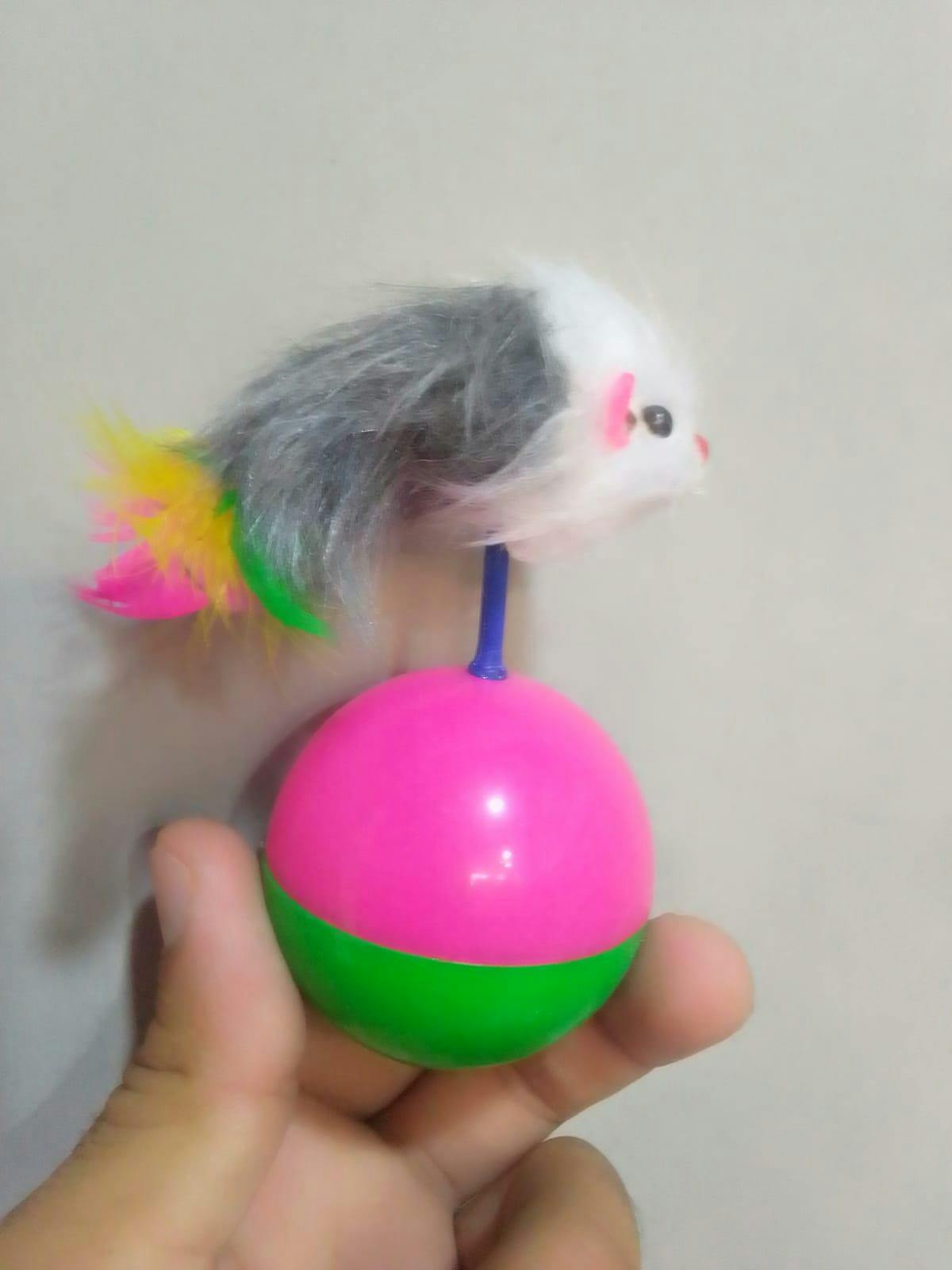 Interactive Self-Balancing Toy for Cats
