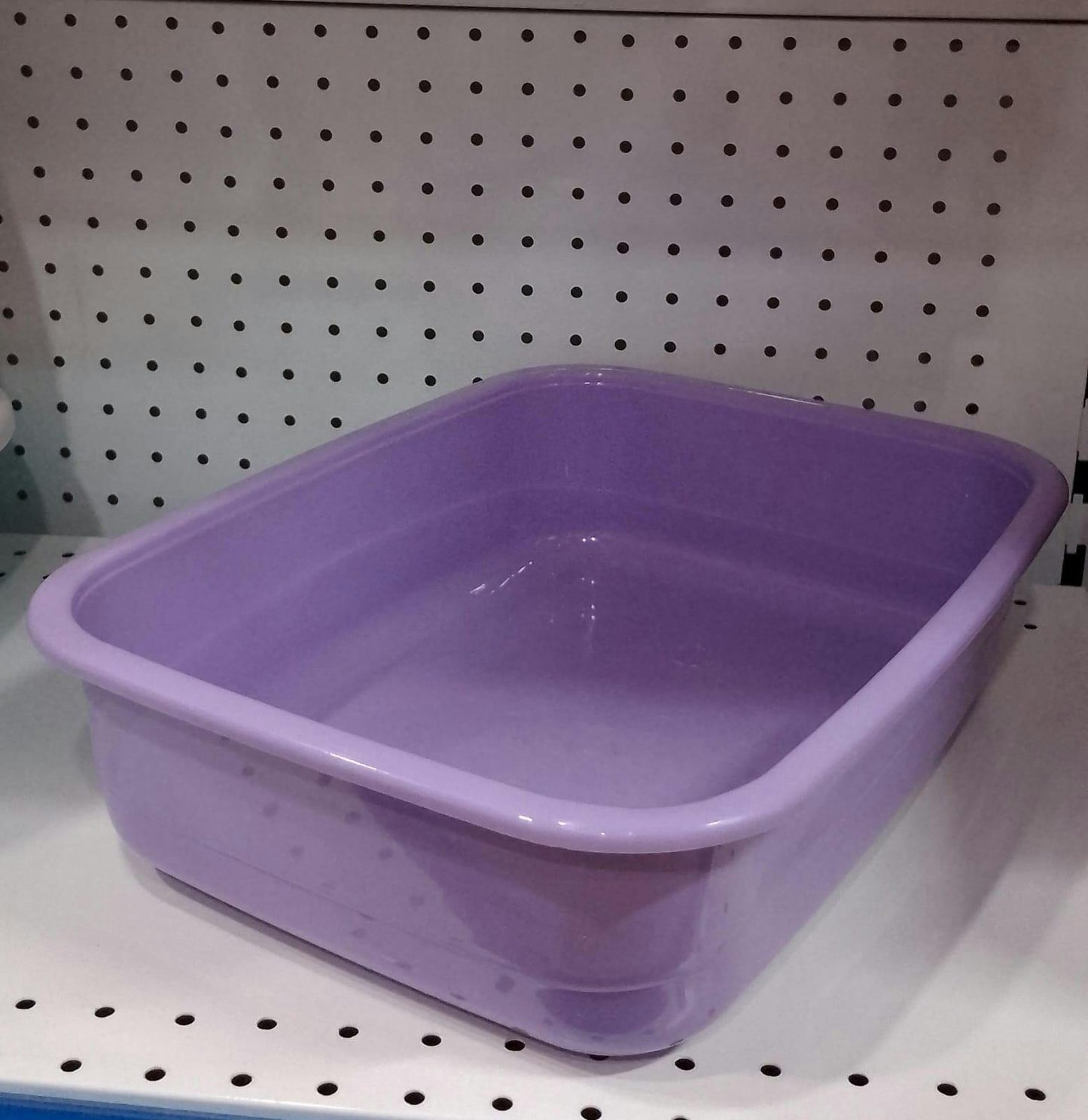 Kitten Litter Tray with Free Scoop 🐾🪣
