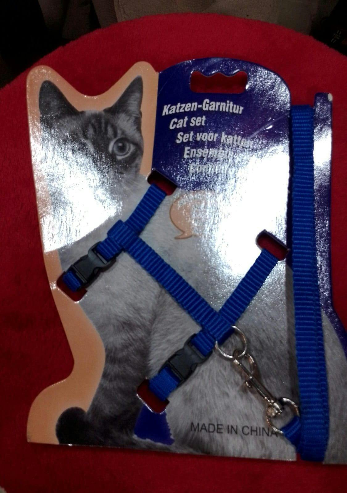 Cat Harness & Leash for Outdoor Cat Walk 🐾