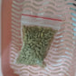 Cat Grass Growing Kit (With Free Seeds) 🌱