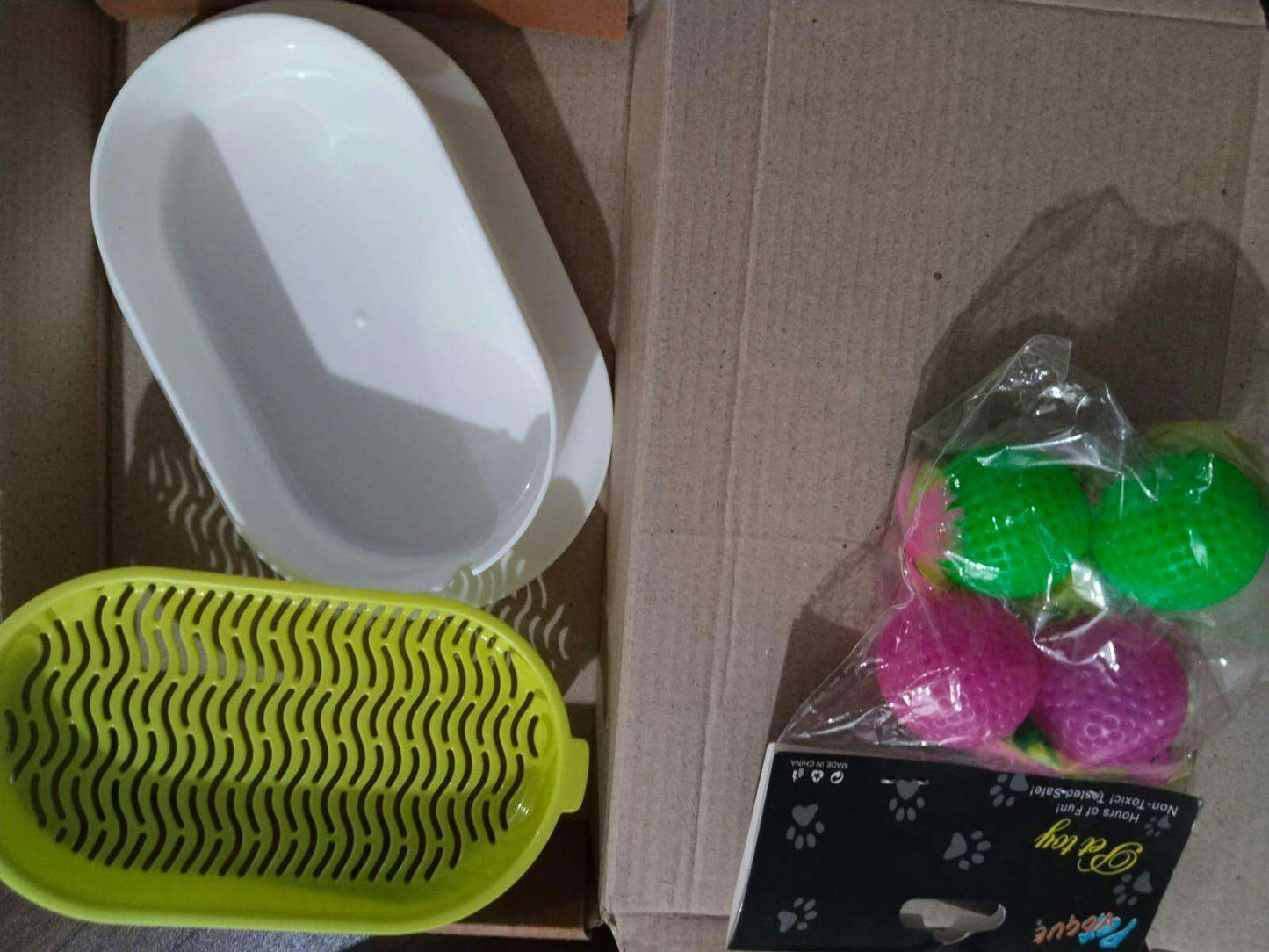 Cat Grass Growing Kit (With Free Seeds)