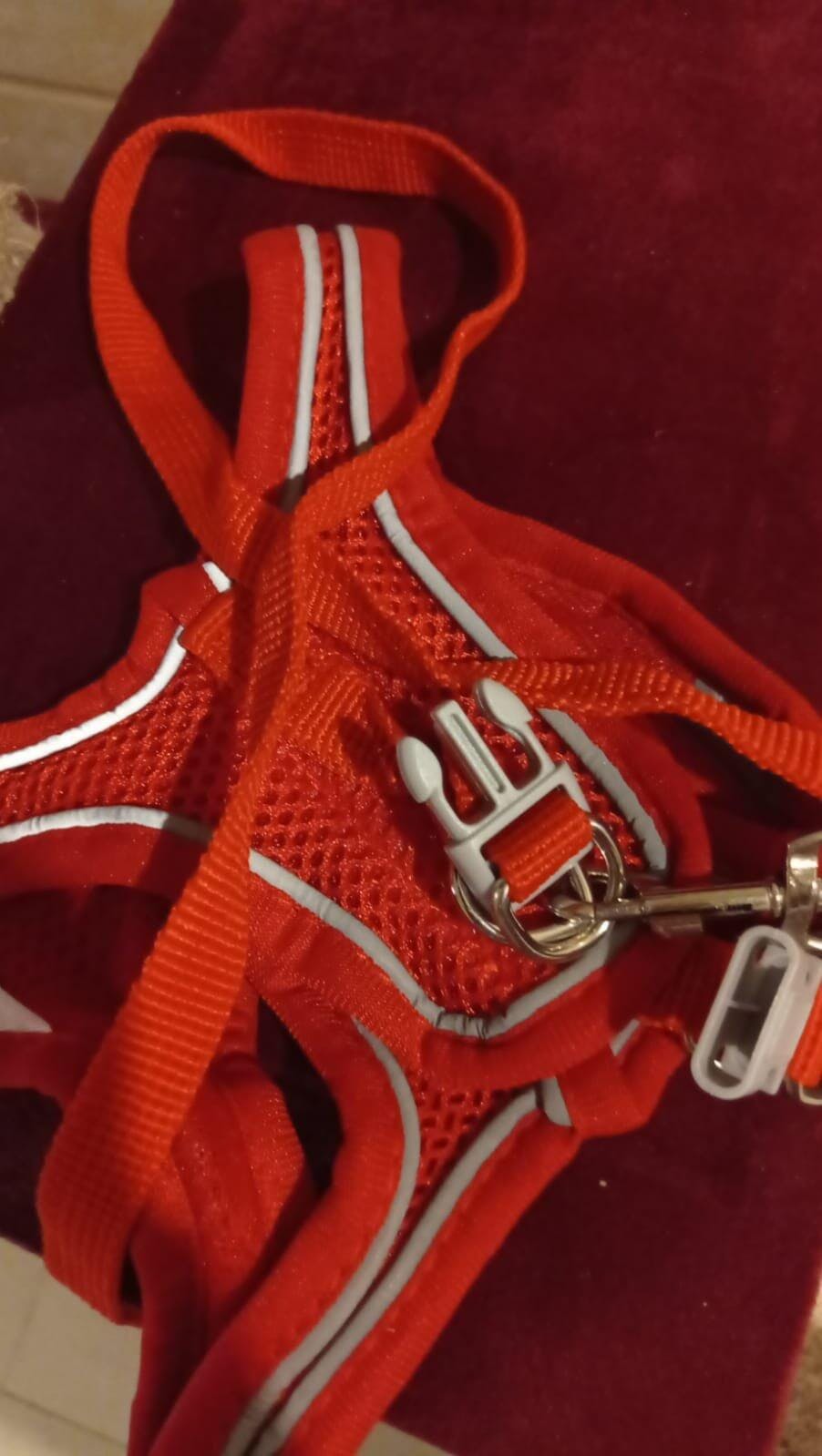Voyager Cat Jacket Harness🦴