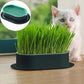 Cat Grass Growing Kit (With Free Seeds)