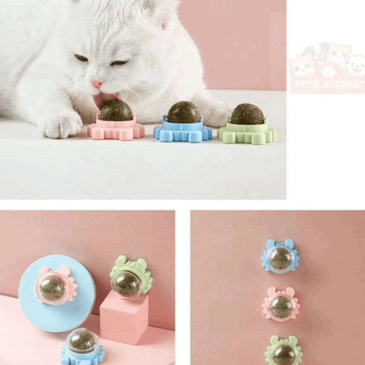 Catnip Lollipop Cats