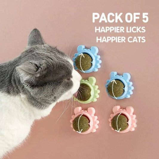 Discount Catnip Lollipop Bundle Cats