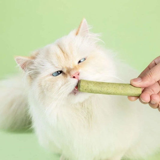 Cat Grass Teething Sticks Teeth