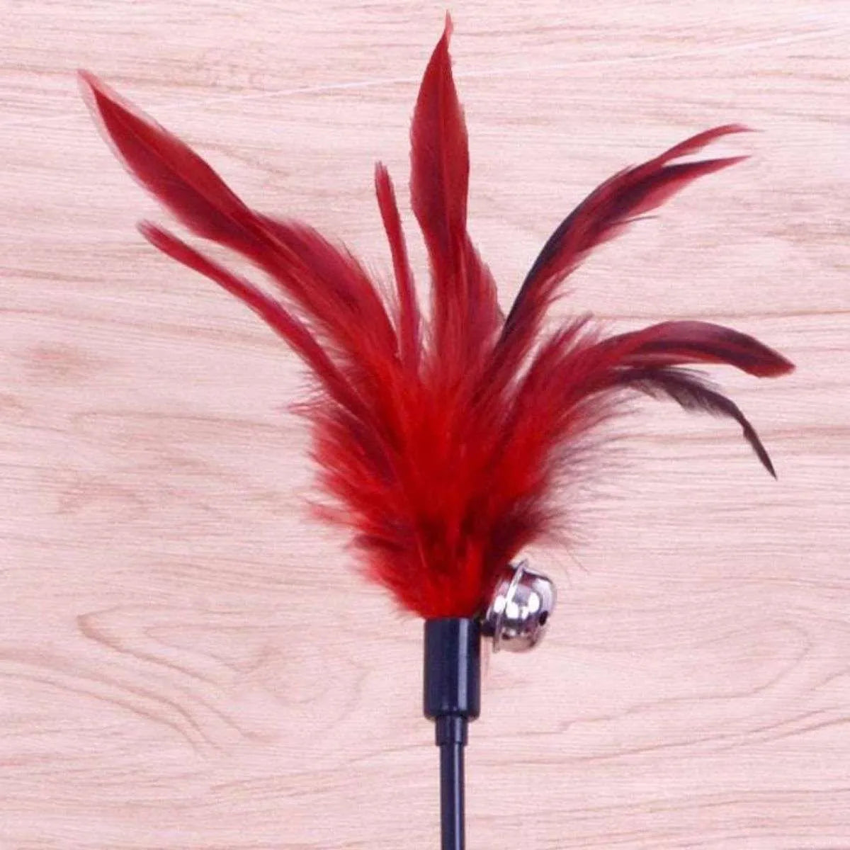 Cat Colourful Playing Stick