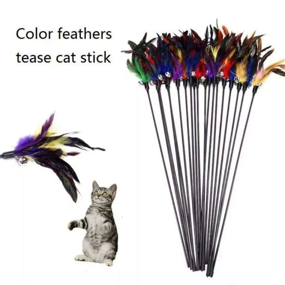 Cat Colourful Playing Stick