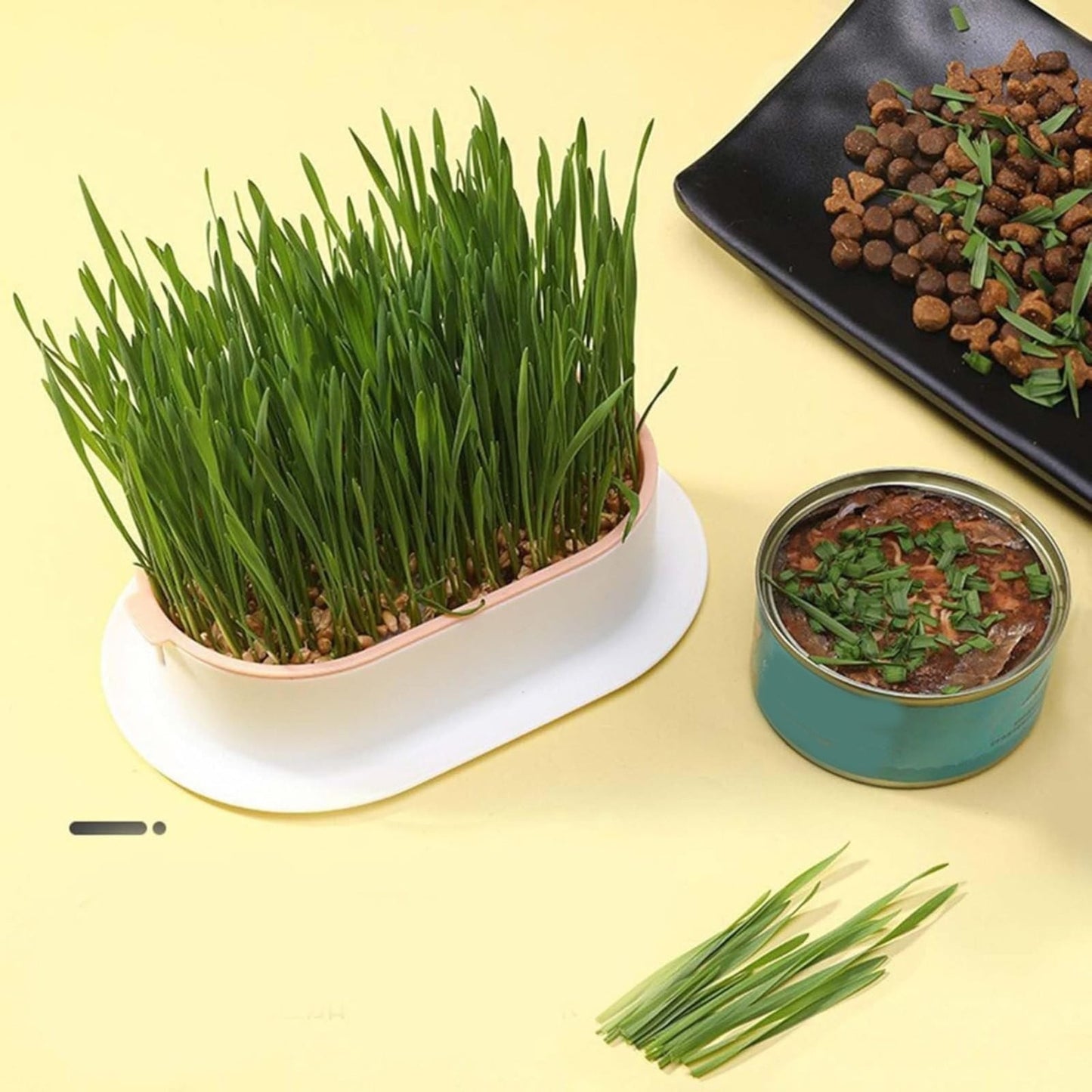 Cat Grass Growing Kit (With Free Seeds) 🌱