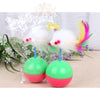 Interactive Self-Balancing Toy for Cats