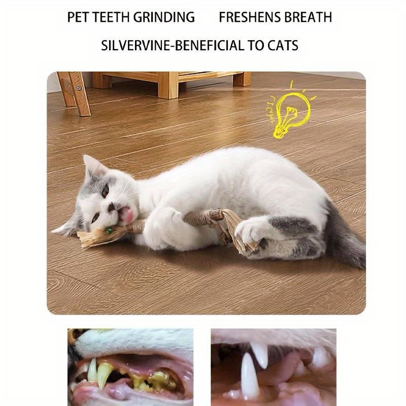 All-Natural Catnip Teething Toy for Cats 🌿🐾