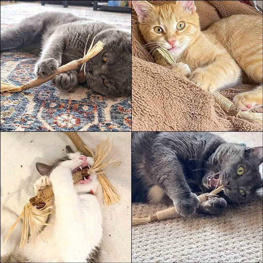 All-Natural Catnip Teething Toy for Cats 🌿🐾
