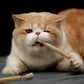 All-Natural Catnip Teething Toy for Cats 🌿🐾