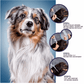 Anti Flea & Tick Collar for Cats & Dogs – Long-Lasting Outdoor Protection