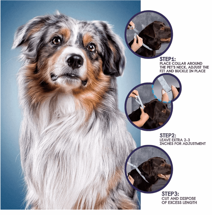 Anti Flea & Tick Collar for Cats & Dogs – Long-Lasting Outdoor Protection