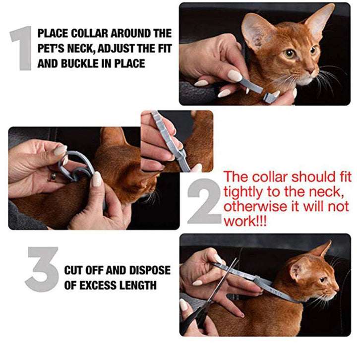 Anti Flea & Tick Collar for Cats & Dogs – Long-Lasting Outdoor Protection