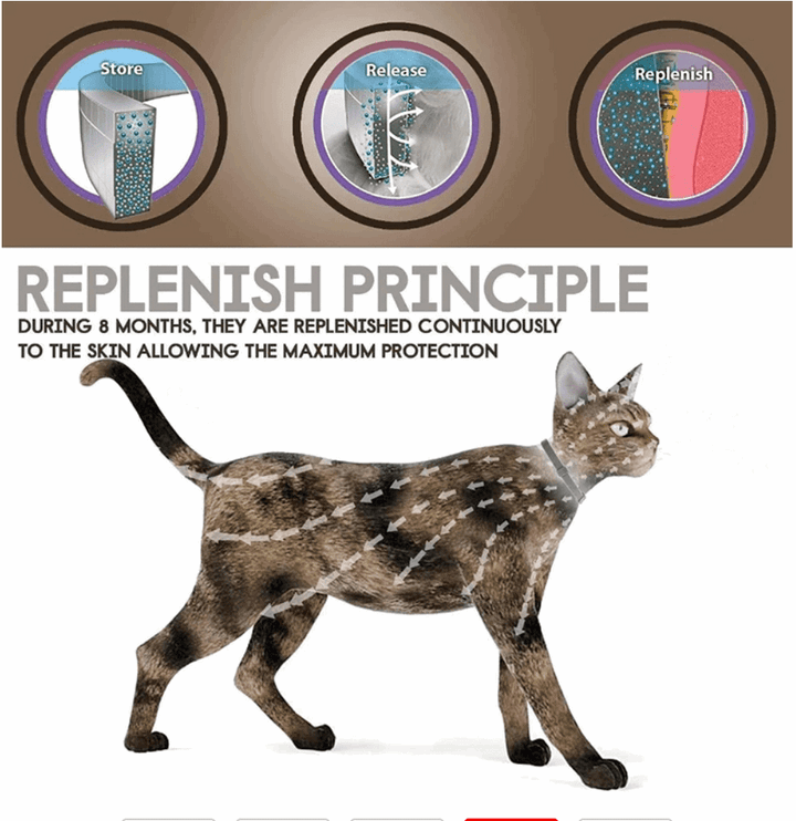 Anti Flea & Tick Collar for Cats & Dogs – Long-Lasting Outdoor Protection