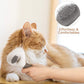 Self-Cleaning Slicker Brush for Cats & Dogs – Grooming & Shedding Tool 🐾🪮