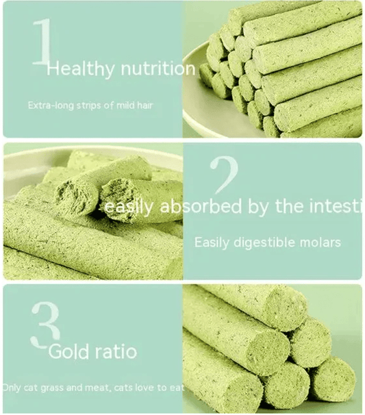 Cat Grass Teething Sticks for Teeth and Hairballs (5 Sticks Pack) 🌿