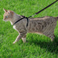 Cat Harness & Leash for Outdoor Cat Walk 🐾