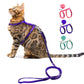 Cat Harness & Leash for Outdoor Cat Walk 🐾