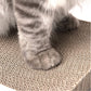 Very Durable Cat Scratching Board Large Bed Type