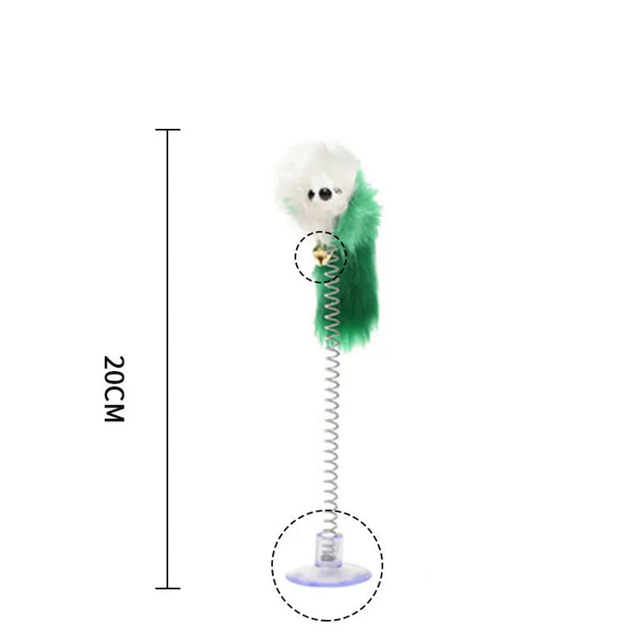 Cat Suction Spring Toy (01 Piece) 🎾