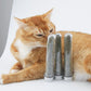 Catnip Leaves for Cats – Natural Herbal Treat 🌿🐱